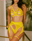 Lingerie Bee
