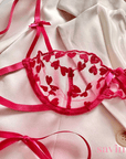 Conjunto Lingerie StrepHeart™ | O Segredo das Mulheres (Conjunto Completo) - savina