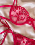 Conjunto Lingerie StrepHeart™ | O Segredo das Mulheres (Conjunto Completo) - savina