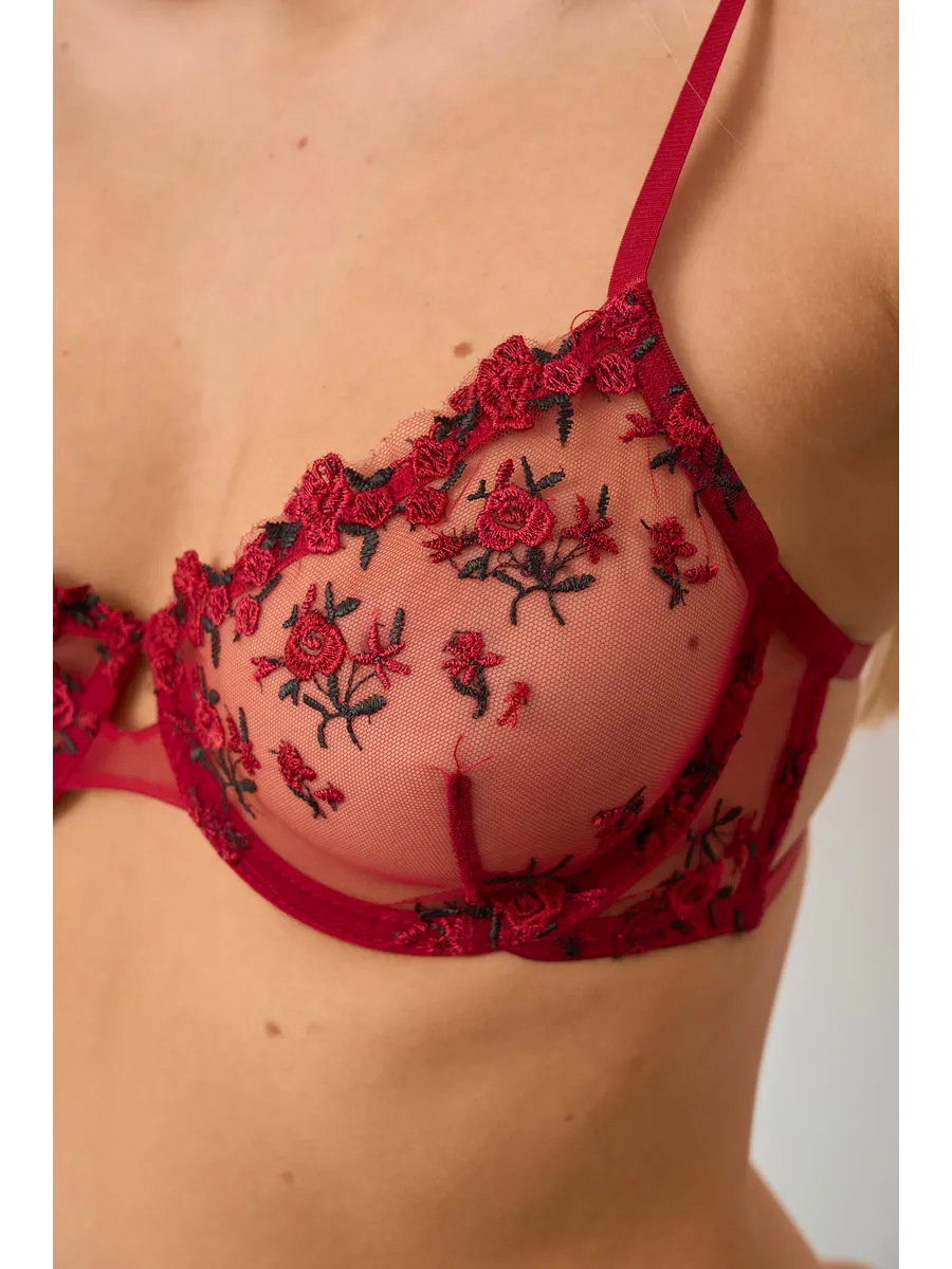 Lingerie Fiorella Red