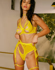 Lingerie Bee