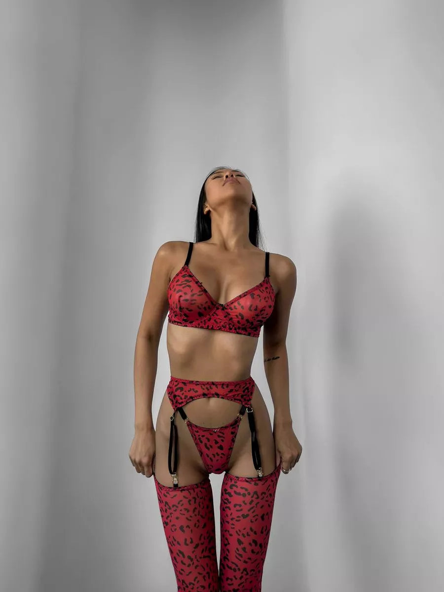 Lingerie Felina