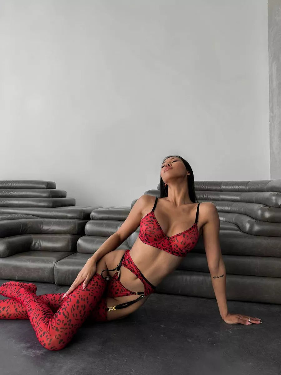 Lingerie Felina